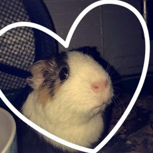 Meet your Posher, Lesly